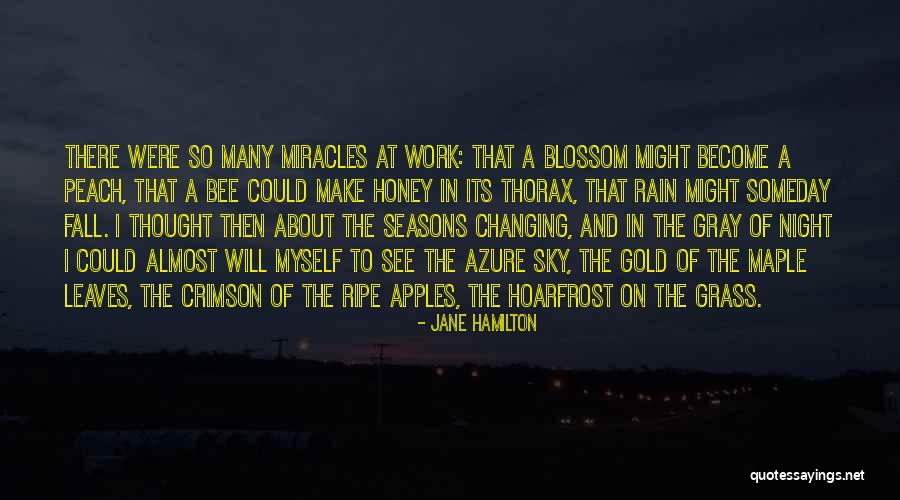 Leaves And Rain Quotes By Jane Hamilton Leaves And Rain Quotes By Jane Hamilton