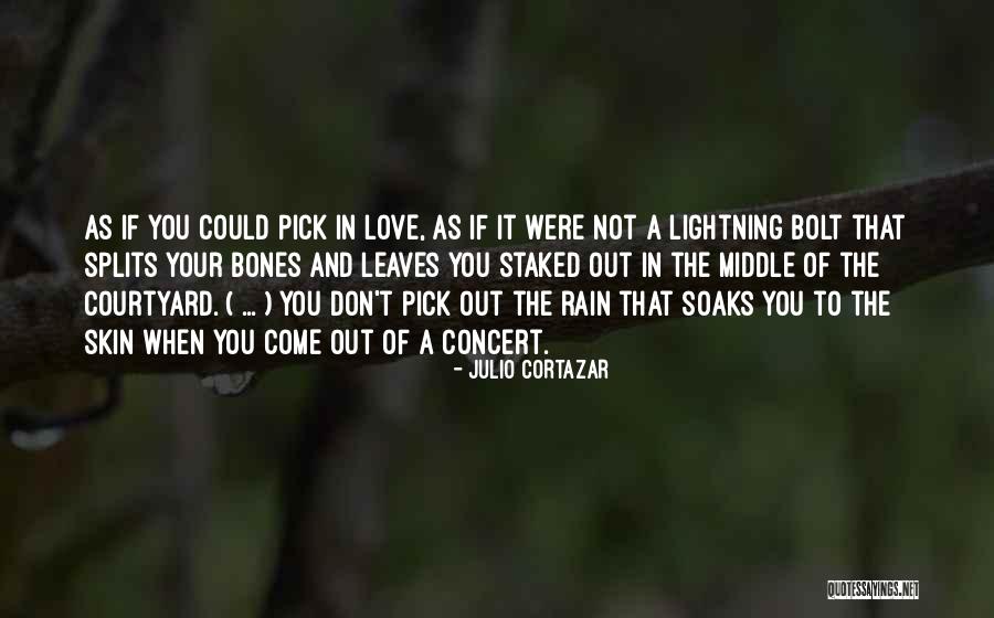 Leaves And Rain Quotes By Julio Cortazar