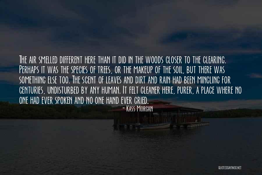 Leaves And Rain Quotes By Kass Morgan Leaves And Rain Quotes By Kass Morgan