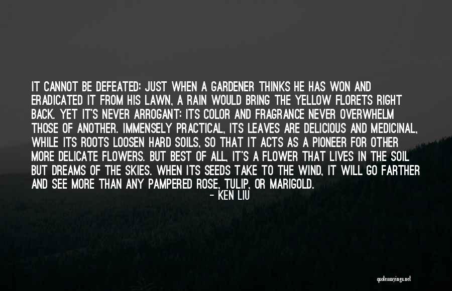 Leaves And Rain Quotes By Ken Liu Leaves And Rain Quotes By Ken Liu