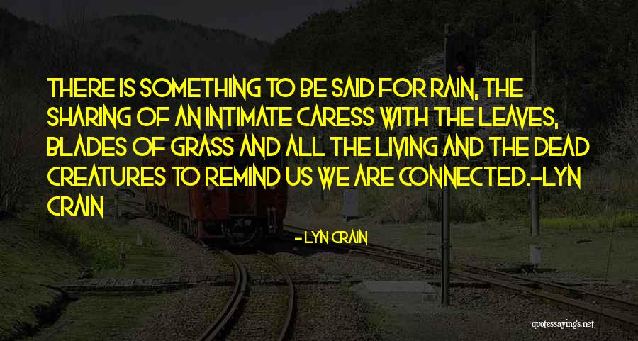 Leaves And Rain Quotes By Lyn Crain