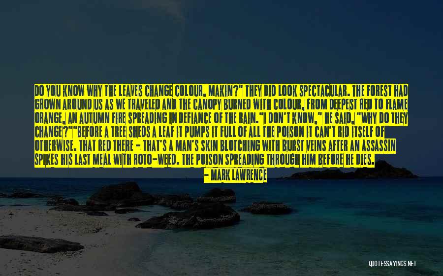 Leaves And Rain Quotes By Mark Lawrence Leaves And Rain Quotes By Mark Lawrence