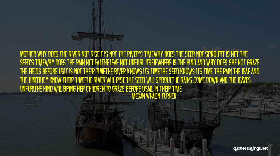 Leaves And Rain Quotes By Megan Whalen Turner Leaves And Rain Quotes By Megan Whalen Turner