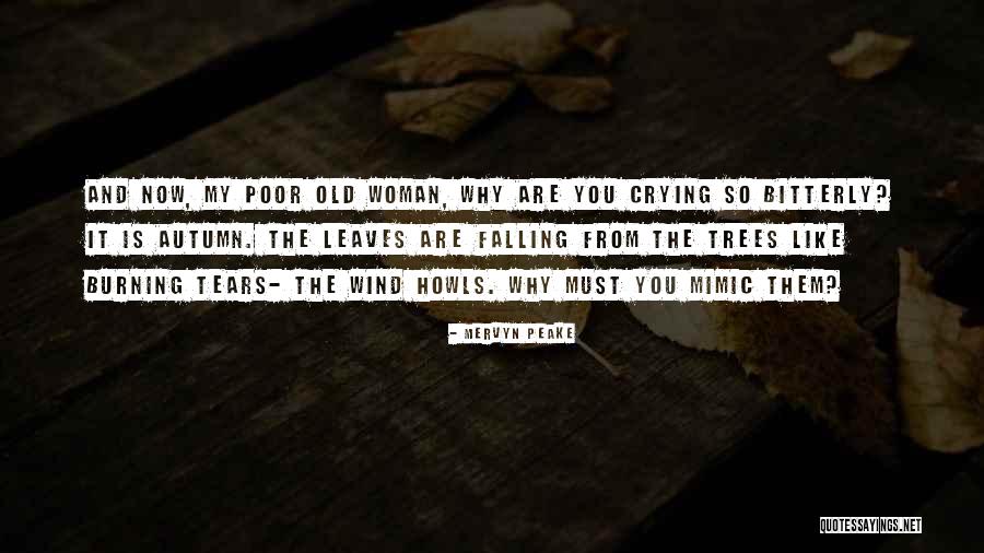 Leaves And Rain Quotes By Mervyn Peake Leaves And Rain Quotes By Mervyn Peake