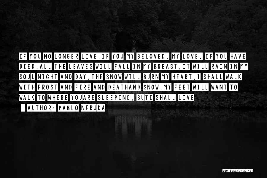 Leaves And Rain Quotes By Pablo Neruda