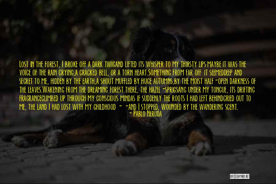 Leaves And Rain Quotes By Pablo Neruda Leaves And Rain Quotes By Pablo Neruda