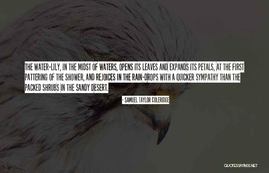 Leaves And Rain Quotes By Samuel Taylor Coleridge Leaves And Rain Quotes By Samuel Taylor Coleridge