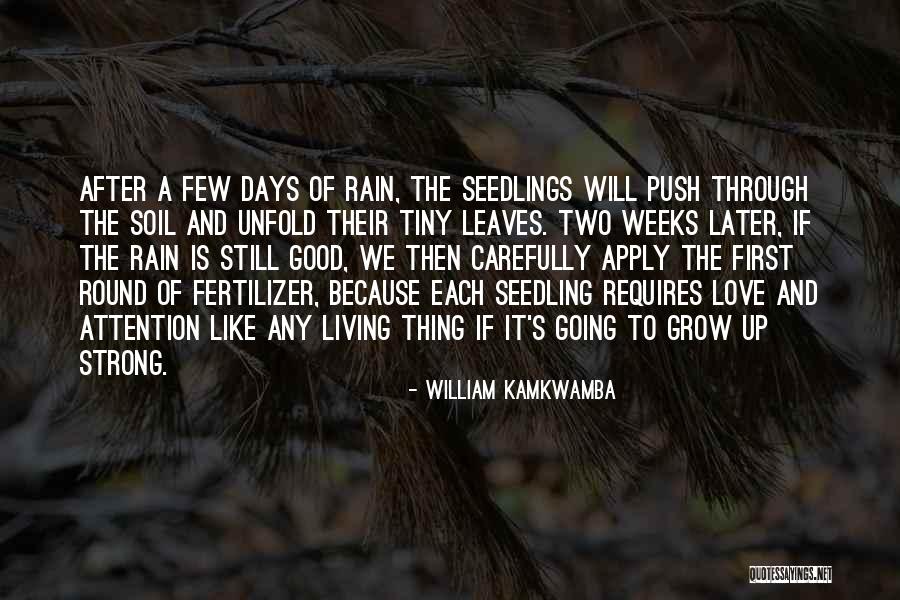 Leaves And Rain Quotes By William Kamkwamba