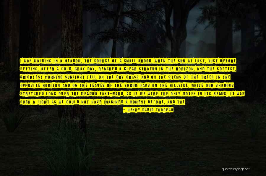 Leaves And Sunlight Quotes By Henry David Thoreau Leaves And Sunlight Quotes By Henry David Thoreau