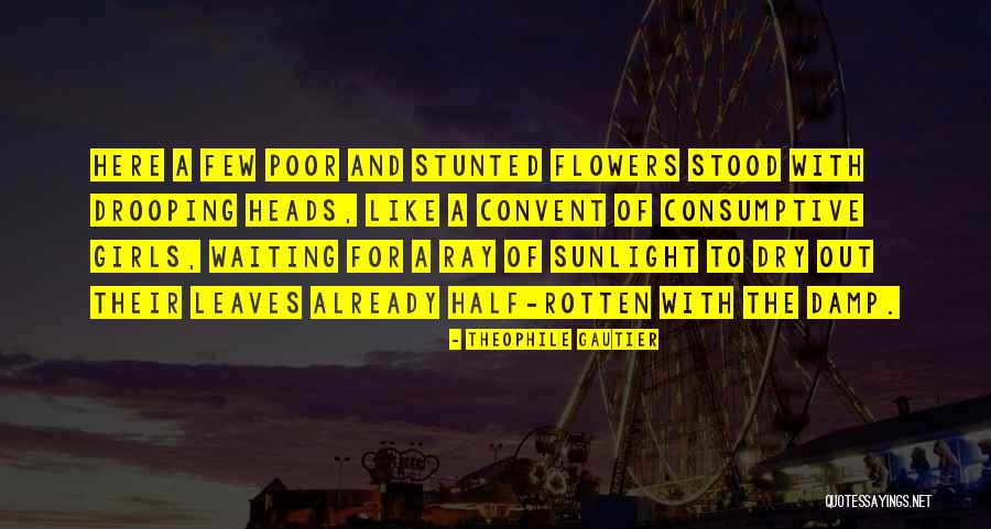 Leaves And Sunlight Quotes By Theophile Gautier Leaves And Sunlight Quotes By Theophile Gautier