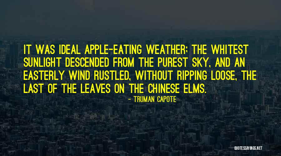 Leaves And Sunlight Quotes By Truman Capote Leaves And Sunlight Quotes By Truman Capote