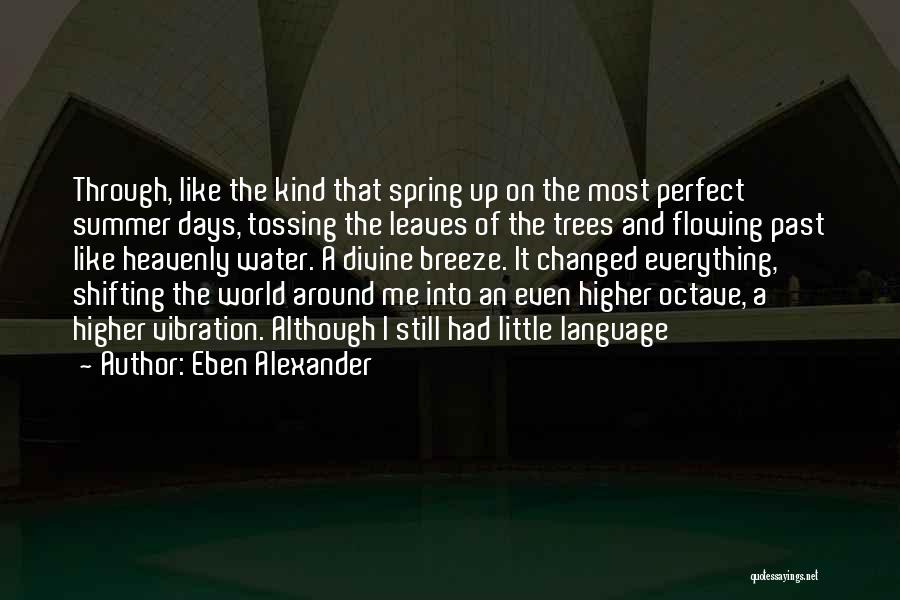 Leaves And Water Quotes By Eben Alexander