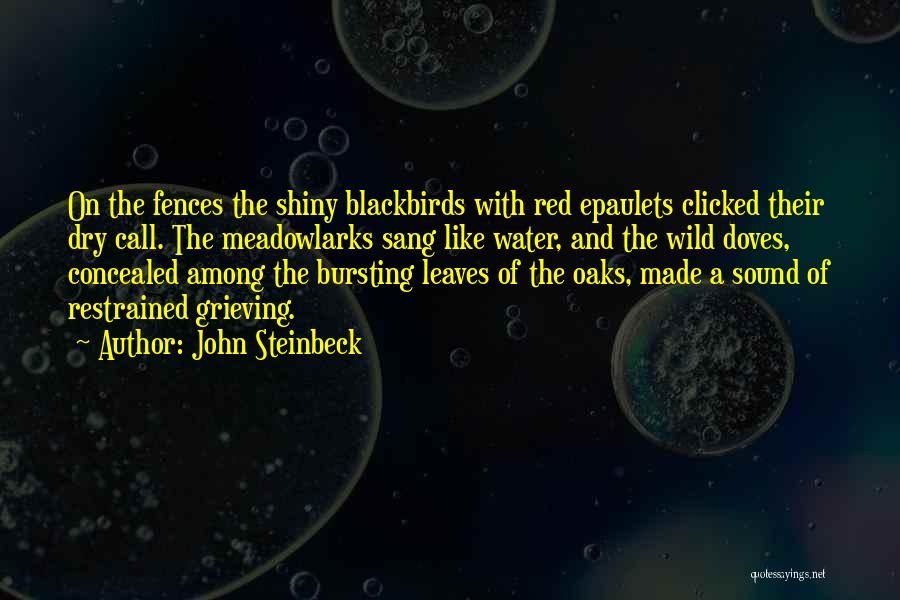 Leaves And Water Quotes By John Steinbeck