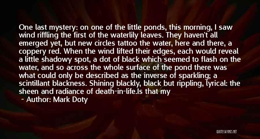 Leaves And Water Quotes By Mark Doty