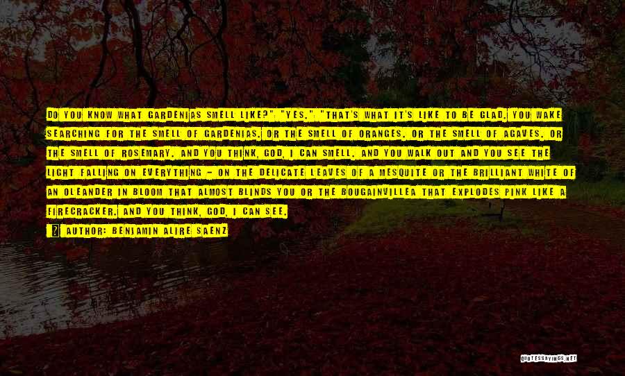 Leaves Falling Quotes By Benjamin Alire Saenz