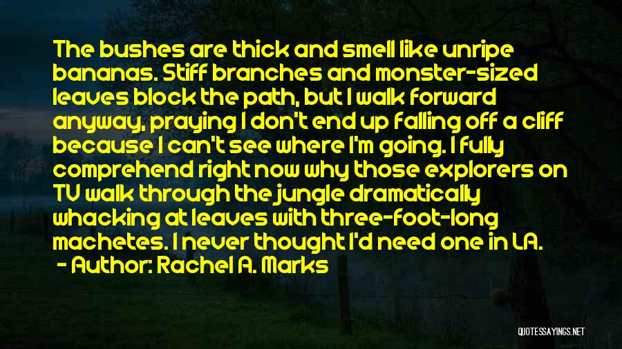 Leaves Falling Quotes By Rachel A. Marks