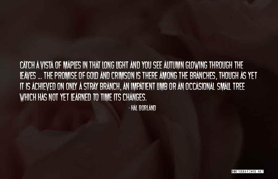 Leaves In A Tree Quotes By Hal Borland Leaves In A Tree Quotes By Hal Borland