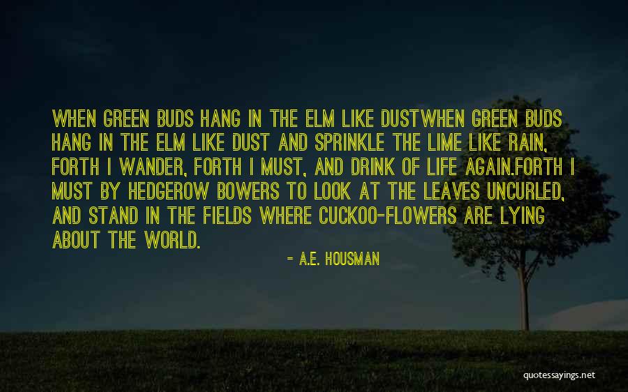 Leaves In Rain Quotes By A.E. Housman Leaves In Rain Quotes By A.E. Housman