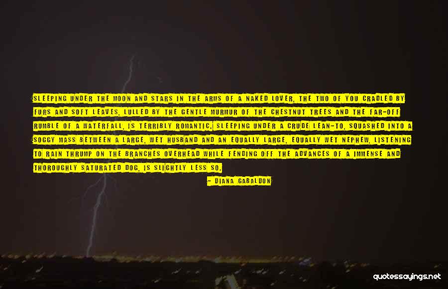 Leaves In Rain Quotes By Diana Gabaldon Leaves In Rain Quotes By Diana Gabaldon