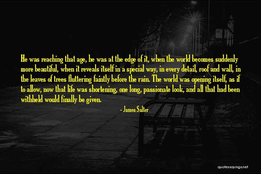 Leaves In Rain Quotes By James Salter Leaves In Rain Quotes By James Salter
