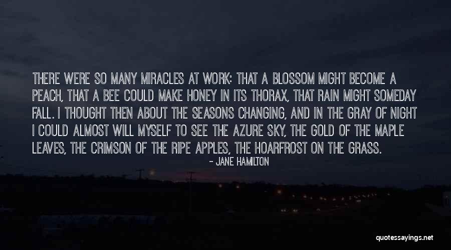 Leaves In Rain Quotes By Jane Hamilton Leaves In Rain Quotes By Jane Hamilton