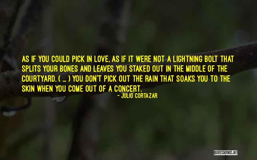 Leaves In Rain Quotes By Julio Cortazar Leaves In Rain Quotes By Julio Cortazar