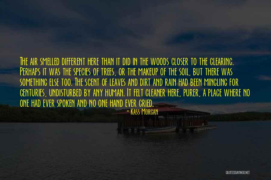 Leaves In Rain Quotes By Kass Morgan Leaves In Rain Quotes By Kass Morgan