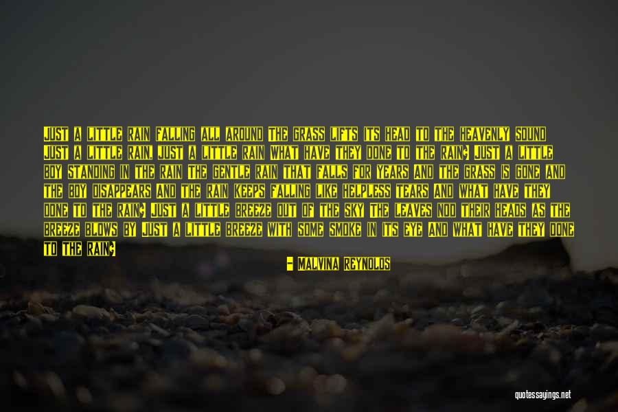 Leaves In Rain Quotes By Malvina Reynolds Leaves In Rain Quotes By Malvina Reynolds