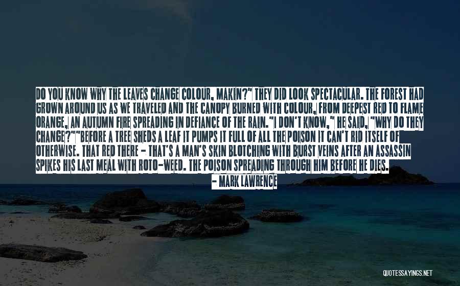 Leaves In Rain Quotes By Mark Lawrence Leaves In Rain Quotes By Mark Lawrence
