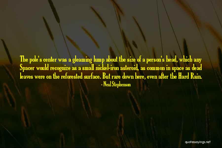 Leaves In Rain Quotes By Neal Stephenson Leaves In Rain Quotes By Neal Stephenson