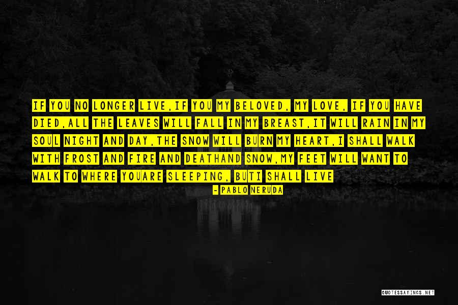 Leaves In Rain Quotes By Pablo Neruda Leaves In Rain Quotes By Pablo Neruda