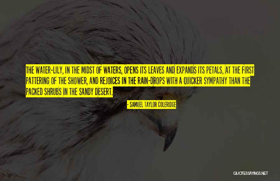 Leaves In Rain Quotes By Samuel Taylor Coleridge Leaves In Rain Quotes By Samuel Taylor Coleridge
