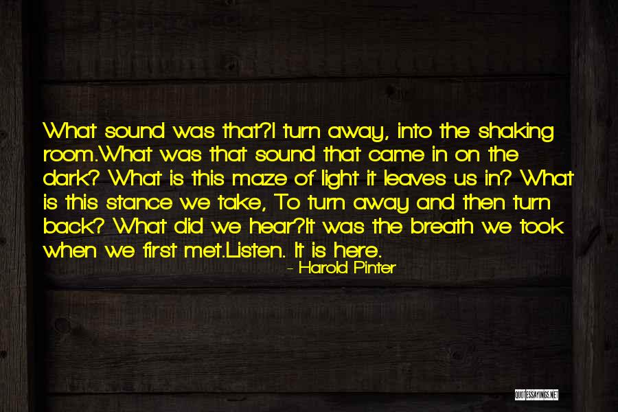 Leaves The Room Quotes By Harold Pinter Leaves The Room Quotes By Harold Pinter