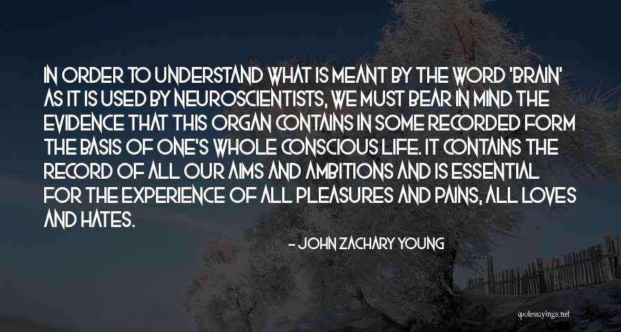 Leavesley Aviation Quotes By John Zachary Young Leavesley Aviation Quotes By John Zachary Young