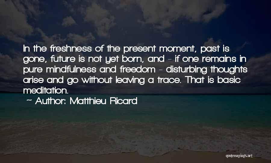 Leaving A Trace Quotes By Matthieu Ricard