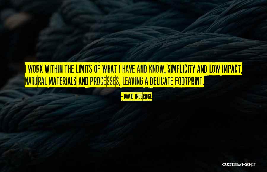 Leaving An Impact Quotes By David Trubridge Leaving An Impact Quotes By David Trubridge