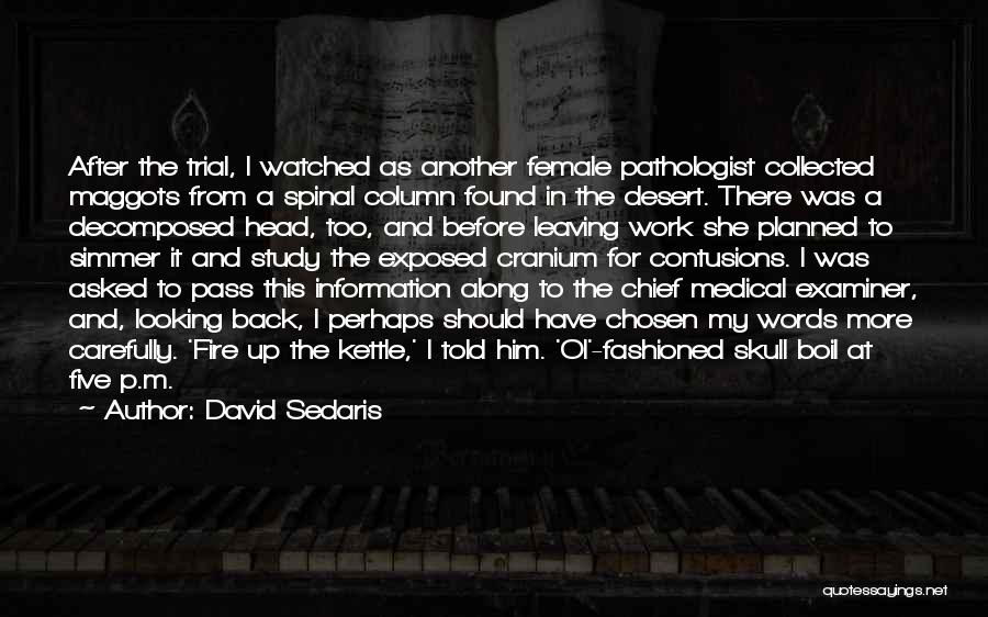 Leaving And Not Looking Back Quotes By David Sedaris