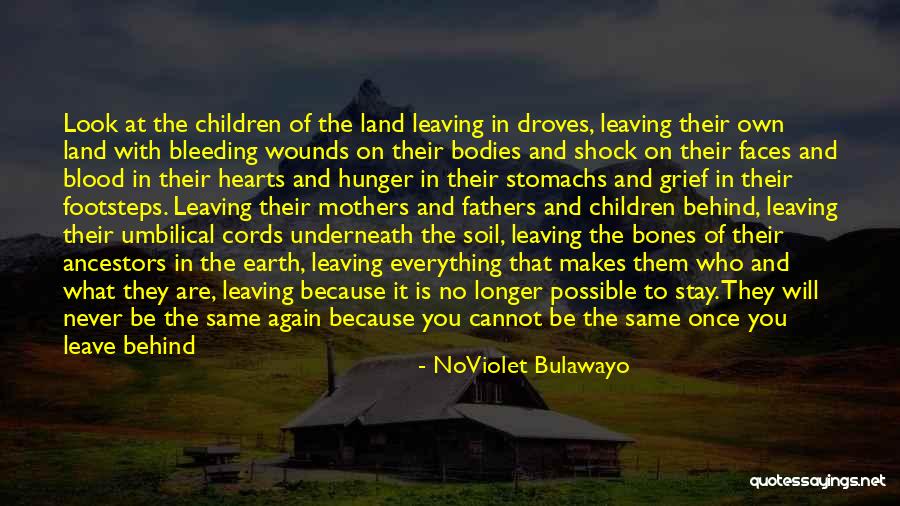 Leaving Behind The Past Quotes By NoViolet Bulawayo