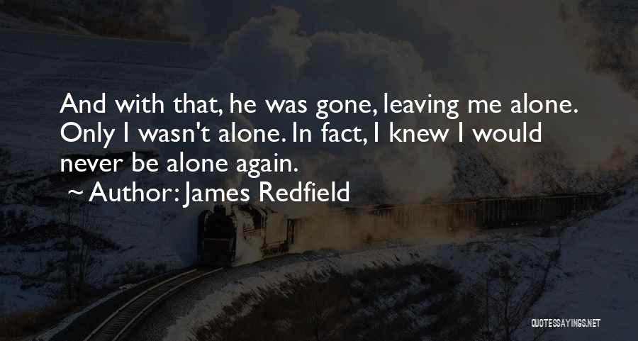 Leaving Me Alone Quotes By James Redfield