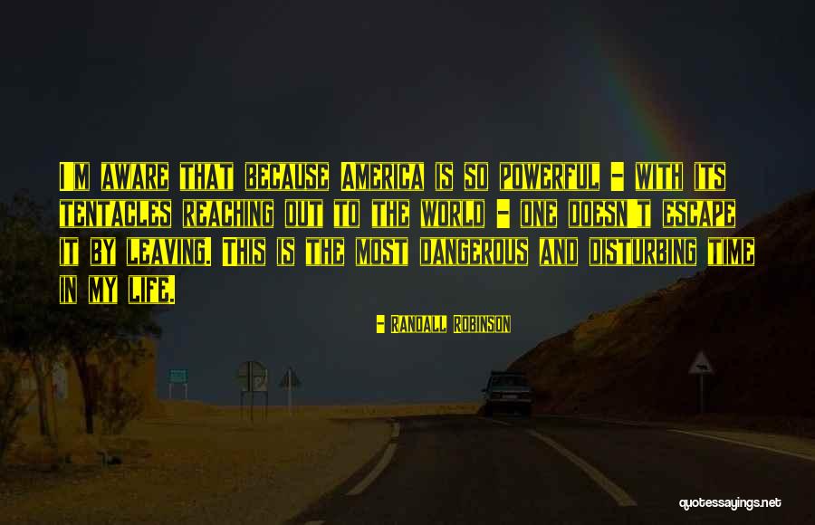 Leaving My Life Quotes By Randall Robinson Leaving My Life Quotes By Randall Robinson