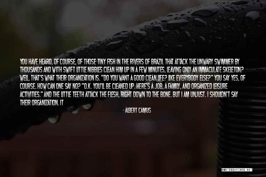 Leaving Organization Quotes By Albert Camus Leaving Organization Quotes By Albert Camus