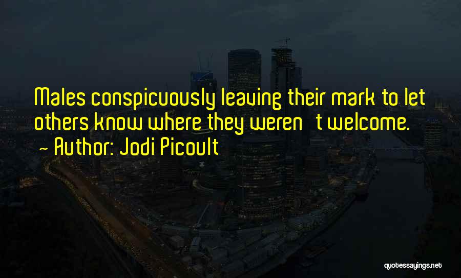 Leaving Past Relationships In The Past Quotes By Jodi Picoult