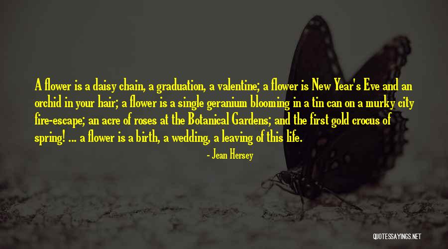 Leaving Single Life Quotes By Jean Hersey