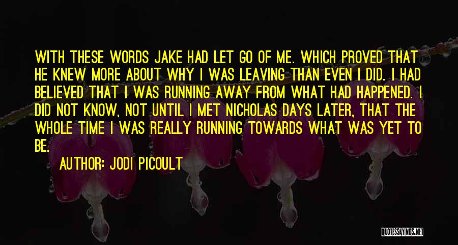 Leaving Someone You Just Met Quotes By Jodi Picoult