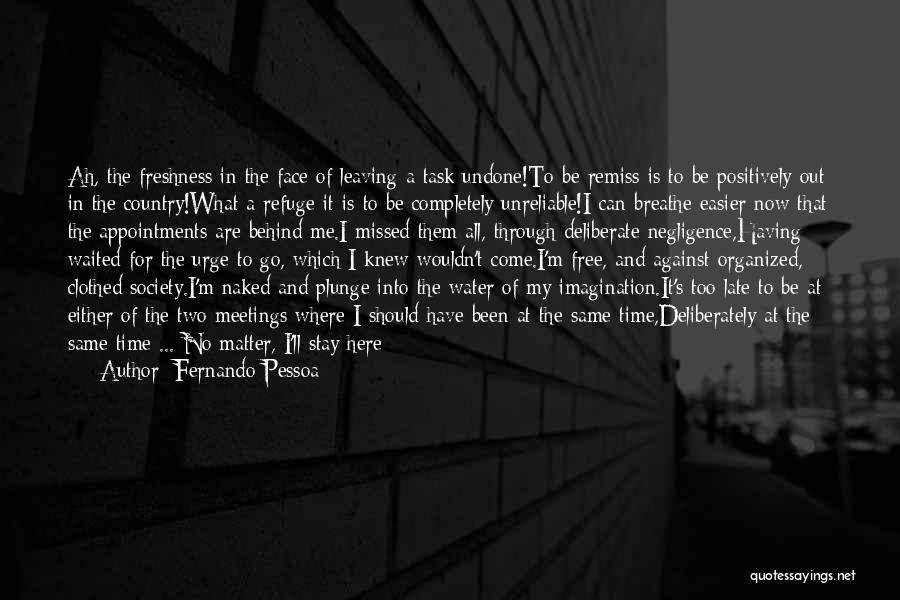 Leaving Something To The Imagination Quotes By Fernando Pessoa