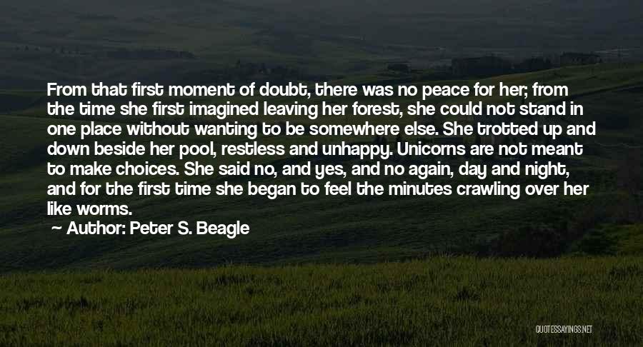 Leaving Somewhere Quotes By Peter S. Beagle