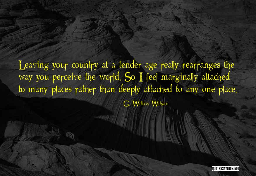 Leaving The Country Quotes By G. Willow Wilson Leaving The Country Quotes By G. Willow Wilson