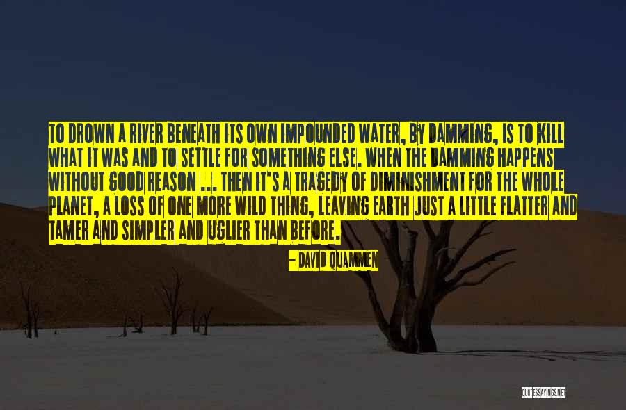 Leaving The Earth Quotes By David Quammen Leaving The Earth Quotes By David Quammen