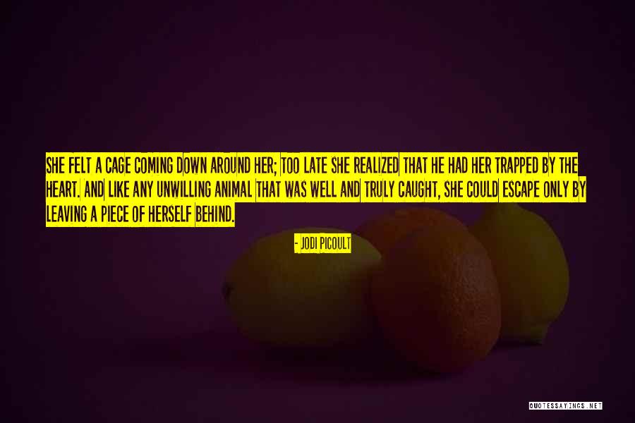Leaving The Past Behind Quotes By Jodi Picoult Leaving The Past Behind Quotes By Jodi Picoult