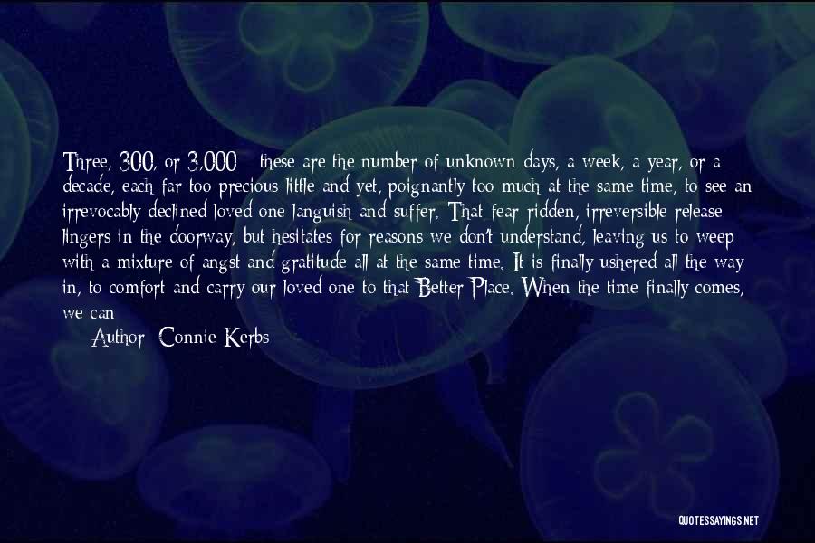 Leaving The Place Quotes By Connie Kerbs